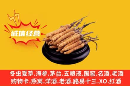 岚山区回收冬虫夏草